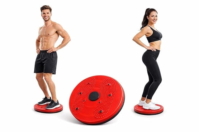 Twist & Slim Waist Twister Disc